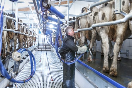 Система доения DeLaval MidiLine™ ML2100